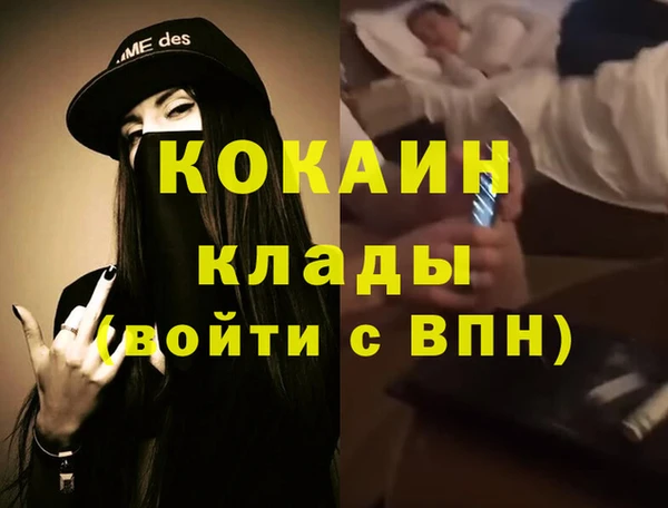 гашик Белокуриха