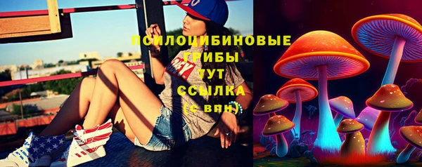 гашик Белокуриха