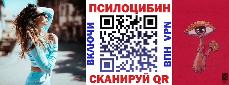 как найти закладки  Белый  Псилоцибиновые грибы GOLDEN TEACHER 